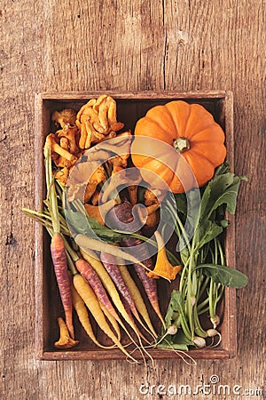 Seasonal autumnal vegetables Stock Photo