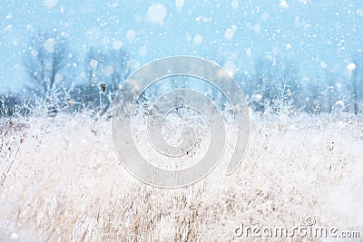 Seasonal backgrounds with snowfall Stock Photo