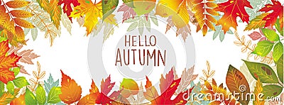 Seasonal banner of autumnal leaves Vector Illustration