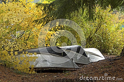 Seasonal Boats Resting in Autumn Trees Stock Photo