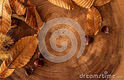 seasonal fall background with leaves, chestnuts and a log Stock Photo