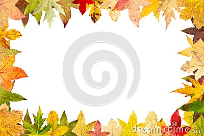 Seasonal frame of autumnal maple leaves isolated on white Stock Photo
