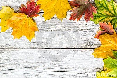 Seasonal frame of autumnal maple leaves on white wooden background Stock Photo