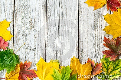 Seasonal frame of autumnal maple leaves on white wooden background Stock Photo