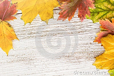 Seasonal frame of autumnal maple leaves on white wooden background Stock Photo