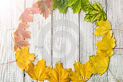 Seasonal frame of autumnal maple leaves on white wooden background Stock Photo