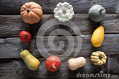 Seasonal frame of pumpkins, squashes and gourds for vegetarian menu Stock Photo