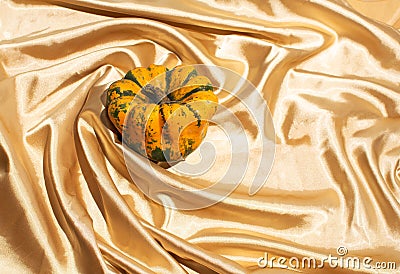 Autumn squash composition against golden bright satin fabricashes, pine cones and dried leaves Stock Photo