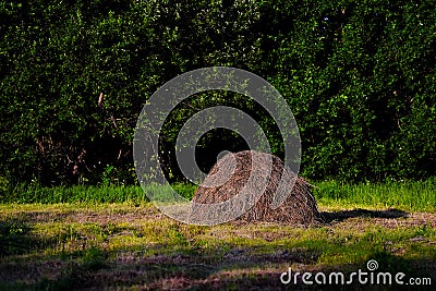 Seasonal haystack, foliage and grass Stock Photo