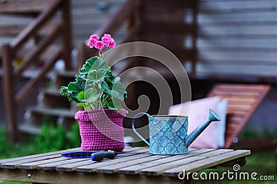 Seasonal summer garden work concept Stock Photo