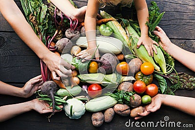 Seasonal vegetables harvest, autumn fresh diet food. Organic detox plant Stock Photo
