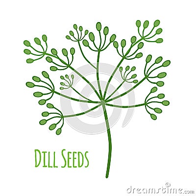 Seasoning dill. Condiment seeds, herbal plant. Flat style. Vector illustration Vector Illustration