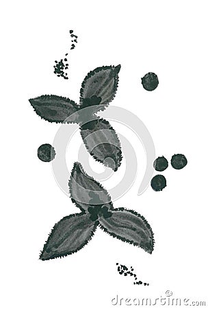 Graceful floral pattern of black and white images of exotic spices Stock Photo