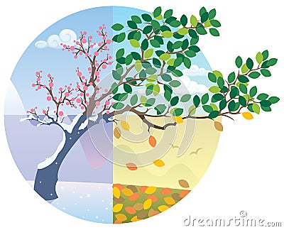 Seasons Cycle Vector Illustration