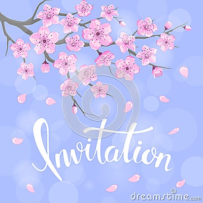 Seasons greeting background with cherry blossoms flowers branches on blue backdrop Vector Illustration