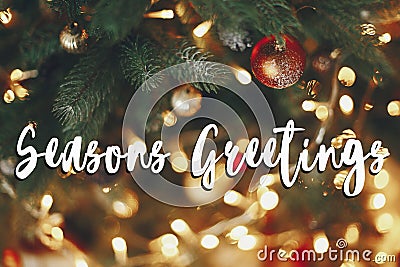 Seasons greetings text, beautiful stylish christmas tree with ga Stock Photo
