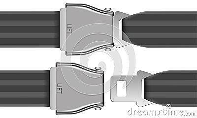 Seat Belt Vector Illustration