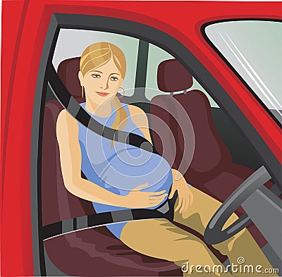 Seat belts Vector Illustration