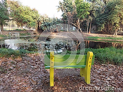 A seat and a pond with fallen leaves at calcutta botanic garden, Stock Photo