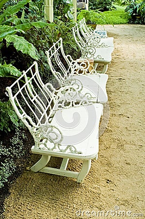 Seats in tropical greenhouse Stock Photo