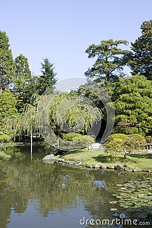 Seattle Japanese Garden Stock Photo