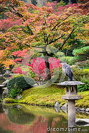 Seattle Japanese Garden Stock Photo