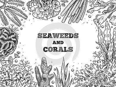 Seaweed background. Reef aquatic weed and corals, underwater ocean and aquarium life. Marine japanese, chinese food Vector Illustration
