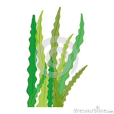 Seaweed icon image Vector Illustration