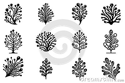 Seaweed icon. Set of black algae icons. Sea plants icon isolated on white Vector Illustration