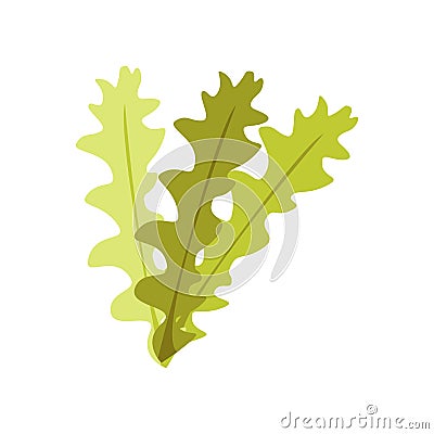 Seaweed icon vector sign and symbol isolated on white background, Seaweed logo concept Vector Illustration