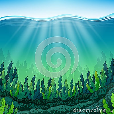 Seaweed on the ocean floor Vector Illustration