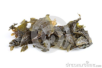 Seaweed Sugar Kelp Stock Photo
