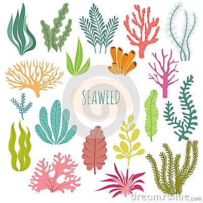 Seaweeds. Aquarium plants, underwater planting. Vector seaweed silhouette isolated set Vector Illustration