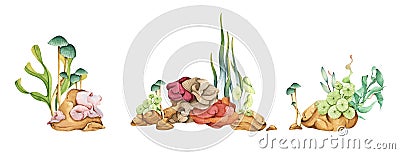 Seaweeds. Underwater ocean plants, sea coral elements. Watercolor illustration Cartoon Illustration