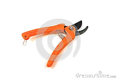Secateurs pruner isolated on the white background Stock Photo