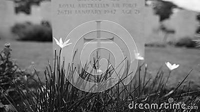 Second World War grave Stock Photo