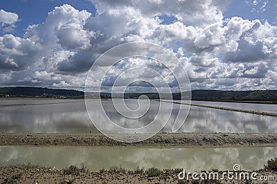 Secovlje Saltworks largest Slovenian salt evaporation pond on Adratic sea, natural and industrial landscape in Slovenia Piran Stock Photo