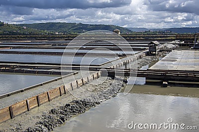 Secovlje Saltworks largest Slovenian salt evaporation pond on Adratic sea, natural and industrial landscape in Slovenia Piran Stock Photo