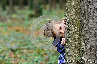 A secret little place. Little boy hide behind tree. Small boy play peekaboo in woods. This is my secret place Stock Photo