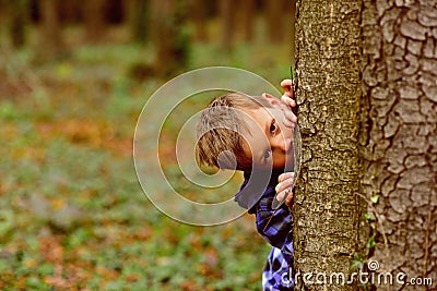 A secret little place. Little boy hide behind tree. Small boy play peekaboo in woods. This is my secret place Stock Photo