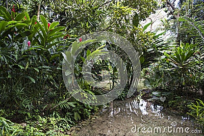Pond with water well in Konoko Gardens, Jamaica Stock Photo