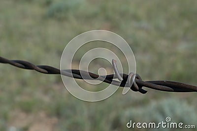 Barbwired fence on Wyoming prairies Stock Photo