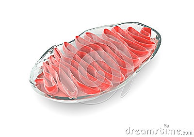 Section mitochondria, cell Stock Photo