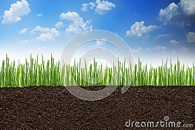 Section or profile of natural soil with green grass under the clear blue sky Stock Photo