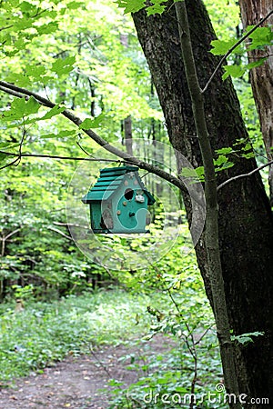 Section of woods where members can decorate a fairies forest, Lily Dale Commune, New York, 2018 Editorial Stock Photo