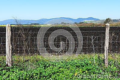 Security fence protects agricultural field plowed and prepared for planting crops in spring Stock Photo