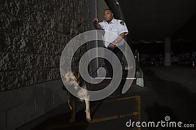 Security Guard In Alleyway Pursuit With Dog Stock Photo