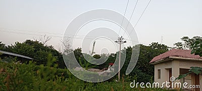 Security place jungle tower aggriculture greenry , natural beauty after rain save place Stock Photo