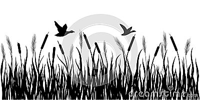 Sedge, reed, cane, bulrush. Ducks are flying. Black silhouette. Stock Photo