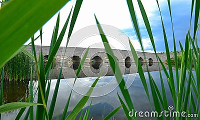 Among sedges mystical and mysterious Bridge Stock Photo